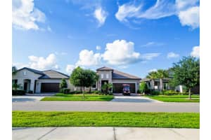 31527 CANNON RUSH DRIVE, SAN ANTONIO, FL 33576 - MLS#MFRTB8506873