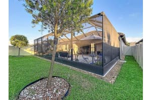 31527 CANNON RUSH DRIVE, SAN ANTONIO, FL 33576 - MLS#MFRTB8506873