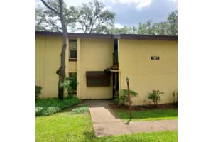 14111 MOSSY GLEN LANE, TAMPA, FL 33613 - MLS#MFRTB8506874