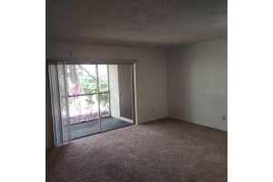 14111 MOSSY GLEN LANE, TAMPA, FL 33613 - MLS#MFRTB8506874