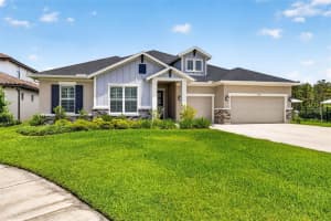16181 NOVEMBER RAIN COURT, LAND O LAKES, FL 34638 - MLS#MFRTB8506876