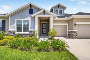 16181 NOVEMBER RAIN COURT, LAND O LAKES, FL 34638 - MLS#MFRTB8506876