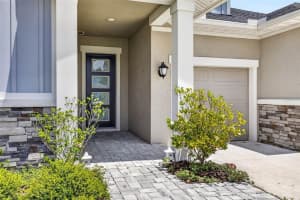 16181 NOVEMBER RAIN COURT, LAND O LAKES, FL 34638 - MLS#MFRTB8506876