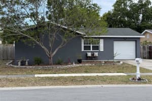 2334 Knoll Ave S, PALM HARBOR