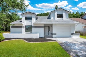 11230 Elmfield Dr, TAMPA