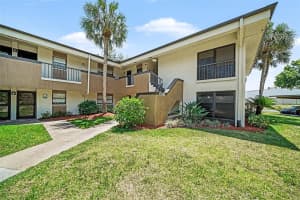 2700 NEBRASKA AVENUE, PALM HARBOR, FL 34684 - MLS#MFRTB8506955