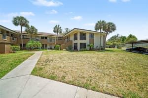 2700 NEBRASKA AVENUE, PALM HARBOR, FL 34684 - MLS#MFRTB8506955