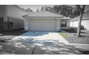 6535 Tabogi Trl, WESLEY CHAPEL