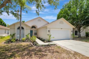 1007 CRISTELLE JEAN DRIVE, RUSKIN, FL 33570 - MLS#MFRTB8506977