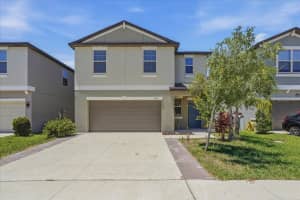 5224 White Chicory Dr, APOLLO BEACH