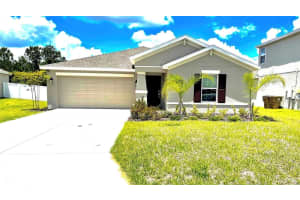 16419 GLASSY LOCH LOOP, CLERMONT, FL 34714 - MLS#MFRTB8506992