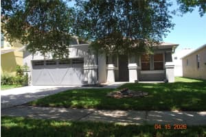 11124 RUNNING PINE DRIVE, RIVERVIEW, FL 33569 - MLS#MFRTB8507038