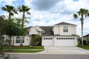 19305 Yellow Clover Dr, TAMPA