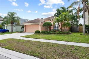 5606 PADDOCK TRAIL DRIVE, TAMPA, FL 33624 - MLS#MFRTB8507051