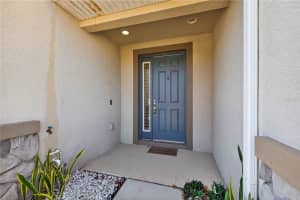 8128 MUDDY PINES PLACE, TAMPA, FL 33635 - MLS#MFRTB8507055