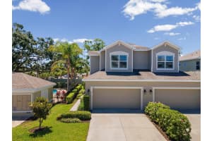 450 HARBOR SPRINGS DRIVE, PALM HARBOR, FL 34683 - MLS#MFRTB8507058