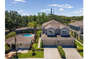 450 HARBOR SPRINGS DRIVE, PALM HARBOR, FL 34683 - MLS#MFRTB8507058