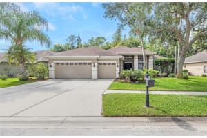 10326 Millport Dr, TAMPA