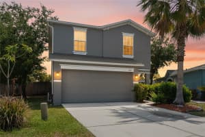 3533 CARDINAL FEATHER DRIVE, LAND O LAKES, FL 34638 - MLS#MFRTB8507083