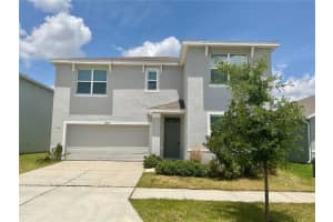 33409 FIELD MAPLE LOOP, WESLEY CHAPEL, FL 33545 - MLS#MFRTB8507104