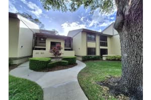 50 WOODLAKE PLACE, OLDSMAR, FL 34677 - MLS#MFRTB8507105