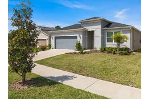 11510 PALMETTO SANDS COURT, TAMPA, FL 33626 - MLS#MFRTB8507144