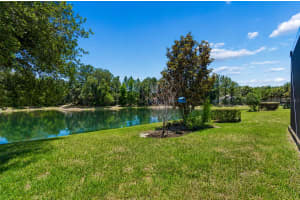 8447 ALBERATA VISTA DRIVE, TAMPA, FL 33647 - MLS#MFRTB8507147