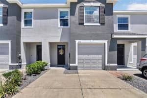 6936 Breezy Palm Dr, RIVERVIEW