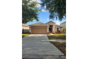10917 Banyan Wood Way, RIVERVIEW