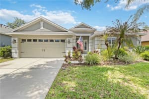 6110 Whimbrelwood Dr, LITHIA 6110 Whimbrelwood Dr, LITHIA