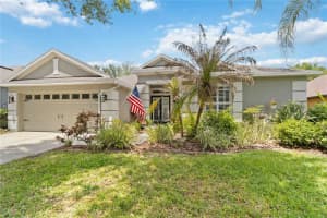 6110 WHIMBRELWOOD DRIVE, LITHIA, FL 33547 - MLS#MFRTB8507246