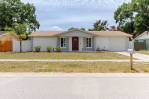 2207 SELKIRK STREET, VALRICO, FL 33594 - MLS#MFRTB8507293