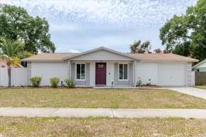 2207 SELKIRK STREET, VALRICO, FL 33594 - MLS#MFRTB8507293