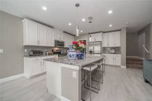 19312 ROSEATE DRIVE, LUTZ, FL 33558 - MLS#MFRTB8507314