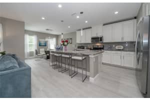19312 ROSEATE DRIVE, LUTZ, FL 33558 - MLS#MFRTB8507314