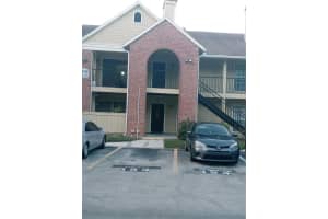 , TAMPA