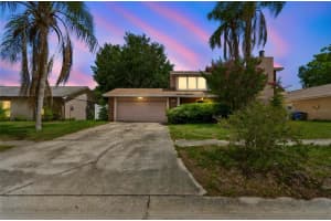 5511 Raven Ct, TAMPA 5511 Raven Ct, TAMPA
