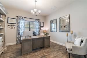 19530 LONESOME PINE DRIVE, LAND O LAKES, FL 34638 - MLS#MFRTB8507351