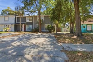 14113 Village Terrace Dr, TAMPA