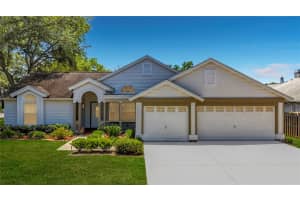 2924 Penridge Dr, PALM HARBOR