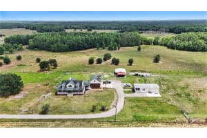 17161 Morris Bridge Rd, THONOTOSASSA 17161 Morris Bridge Rd, THONOTOSASSA