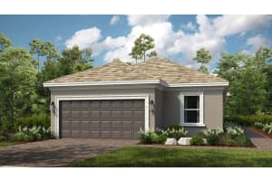3816 Immacolata Way, WESLEY CHAPEL 3816 Immacolata Way, WESLEY CHAPEL