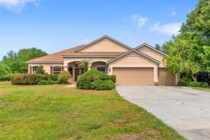 14705 AMBER SWEET LANE, WIMAUMA, FL 33598 - MLS#MFRTB8507511