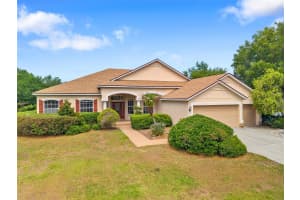 14705 AMBER SWEET LANE, WIMAUMA, FL 33598 - MLS#MFRTB8507511