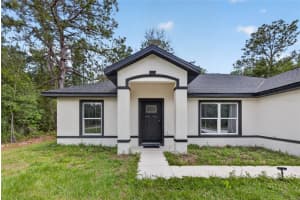 12 GUAVA TERRACE RADIAL, OCKLAWAHA, FL 32179 - MLS#MFRTB8507571