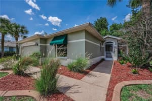 11116 JENKINS COURT, SAN ANTONIO, FL 33576 - MLS#MFRTB8507572