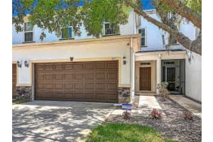 8615 Andalucia Field Dr, TAMPA