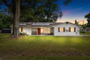 8212 Sunny Vale Pl, TAMPA