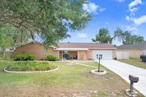 1204 Lady Guinevere Dr, VALRICO 1204 Lady Guinevere Dr, VALRICO