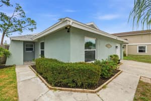 10315 Chadbourne Dr, TAMPA